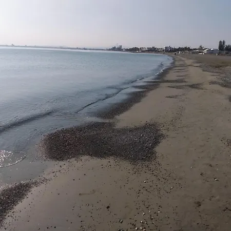 Oceania Bay